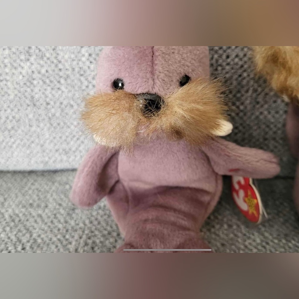 TY Beanie babies 25 plus Beanies - Picture 2 of 10